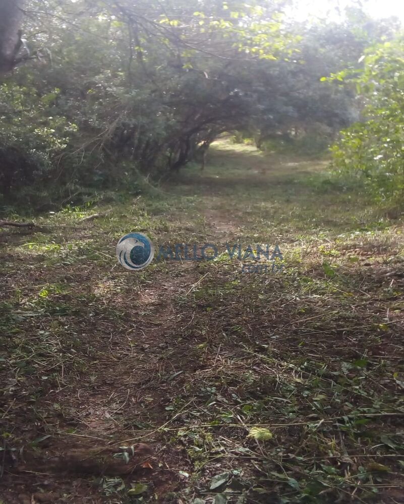 Sítio, 8 quartos, 19 hectares - Foto 3