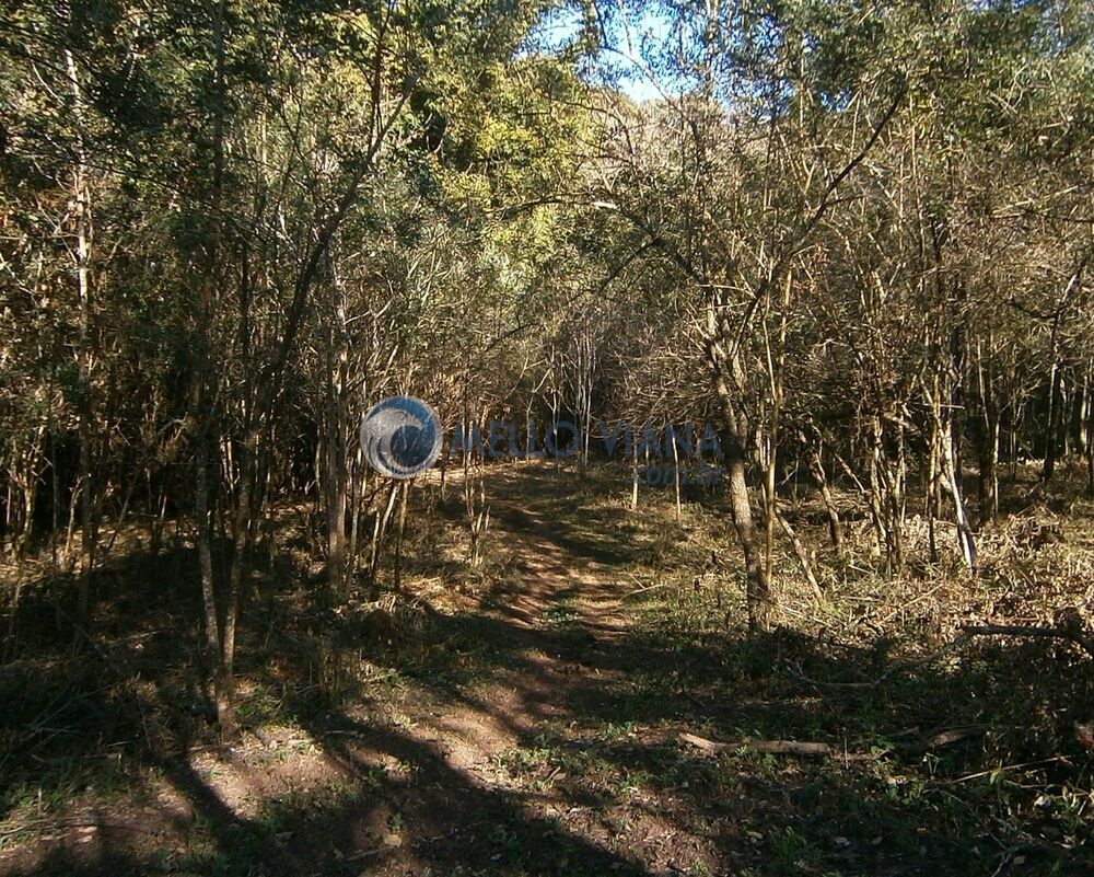 Sítio, 8 quartos, 19 hectares - Foto 7