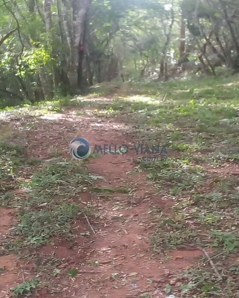 Sítio, 8 quartos, 19 hectares - Foto 1