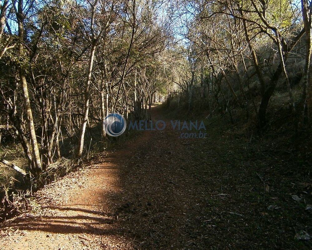 Sítio, 8 quartos, 19 hectares - Foto 6