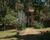 Sítio, 8 quartos, 19 hectares - Foto 4