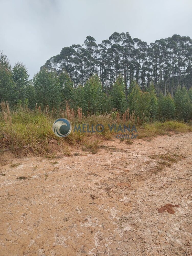 Fazenda, 239 m² - Foto 1