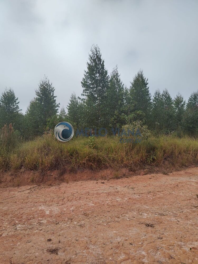 Fazenda, 239 m² - Foto 4