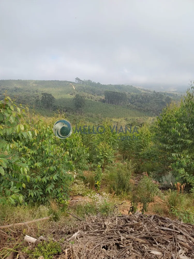 Fazenda, 239 m² - Foto 13