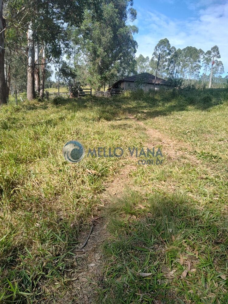 Fazenda, 239 m² - Foto 2