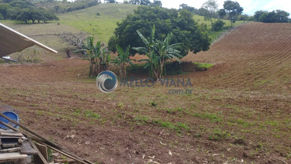 Chácara, 4 quartos, 13 hectares - Foto 2
