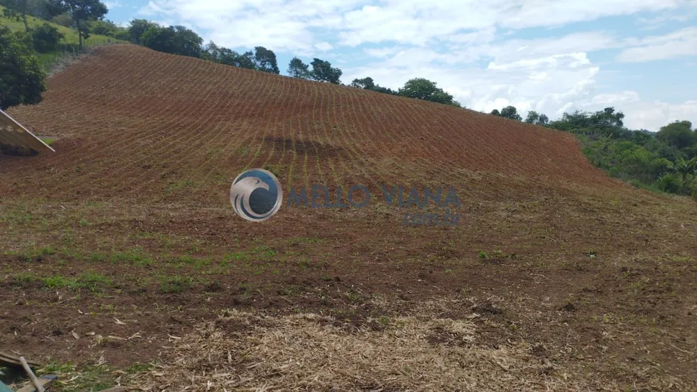 Chácara, 4 quartos, 13 hectares - Foto 3