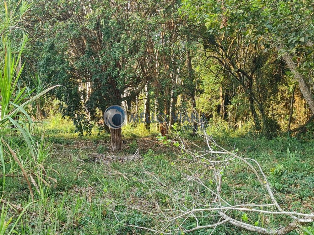 Sítio, 3 quartos, 7 hectares - Foto 5