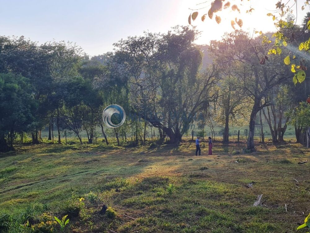 Sítio, 3 quartos, 7 hectares - Foto 6