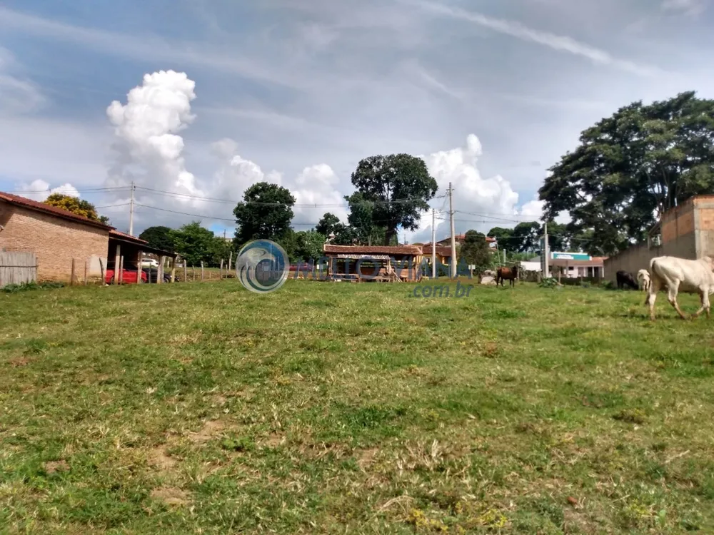 Terreno, 6000 m² - Foto 3