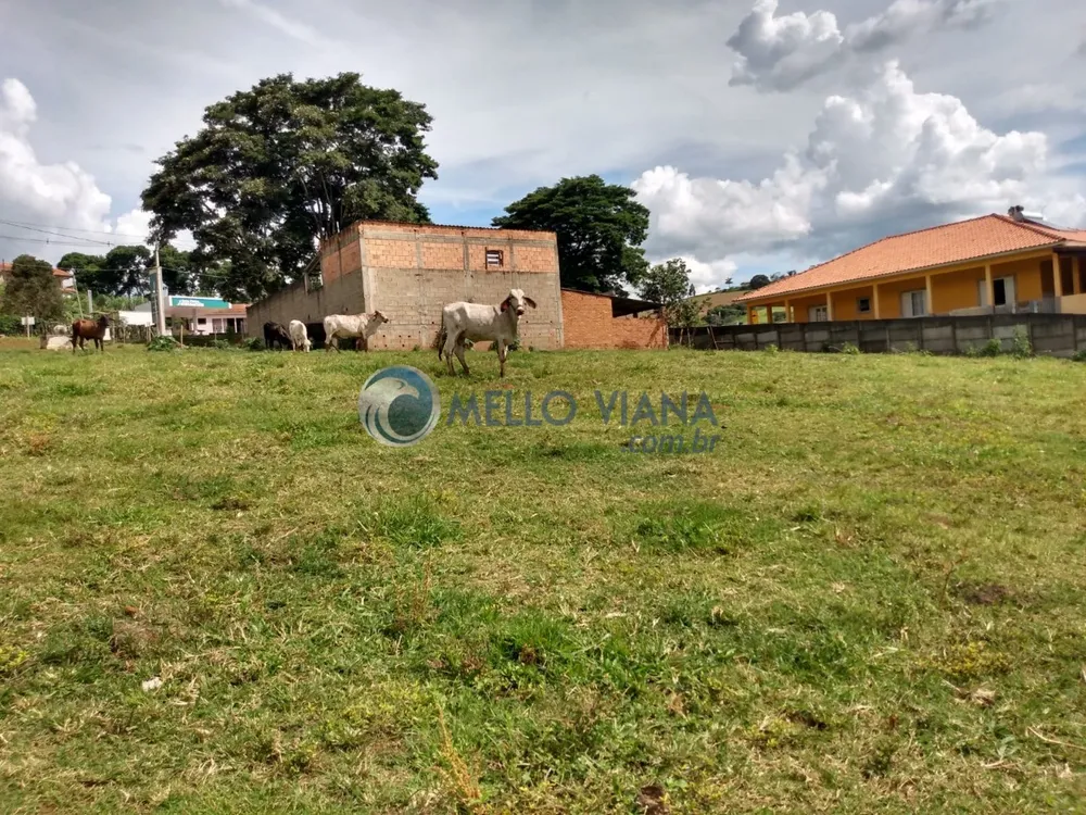 Terreno, 6000 m² - Foto 4
