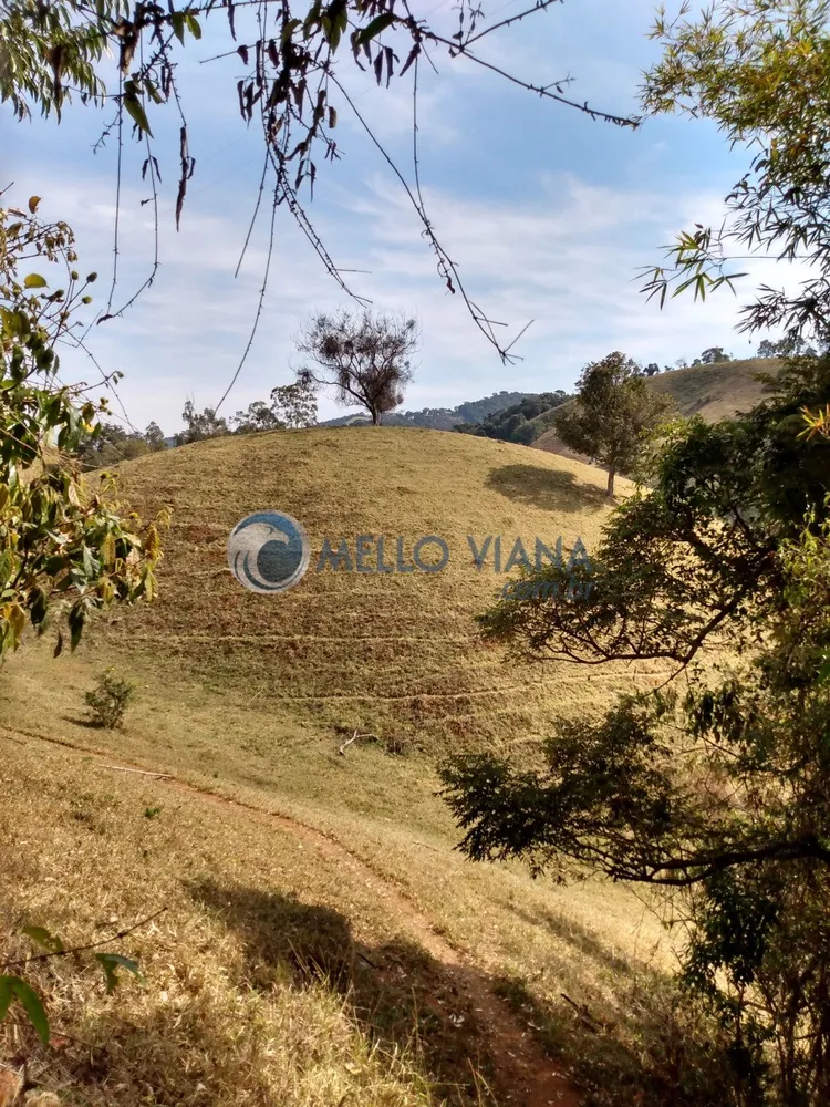 Fazenda, 35 hectares - Foto 7