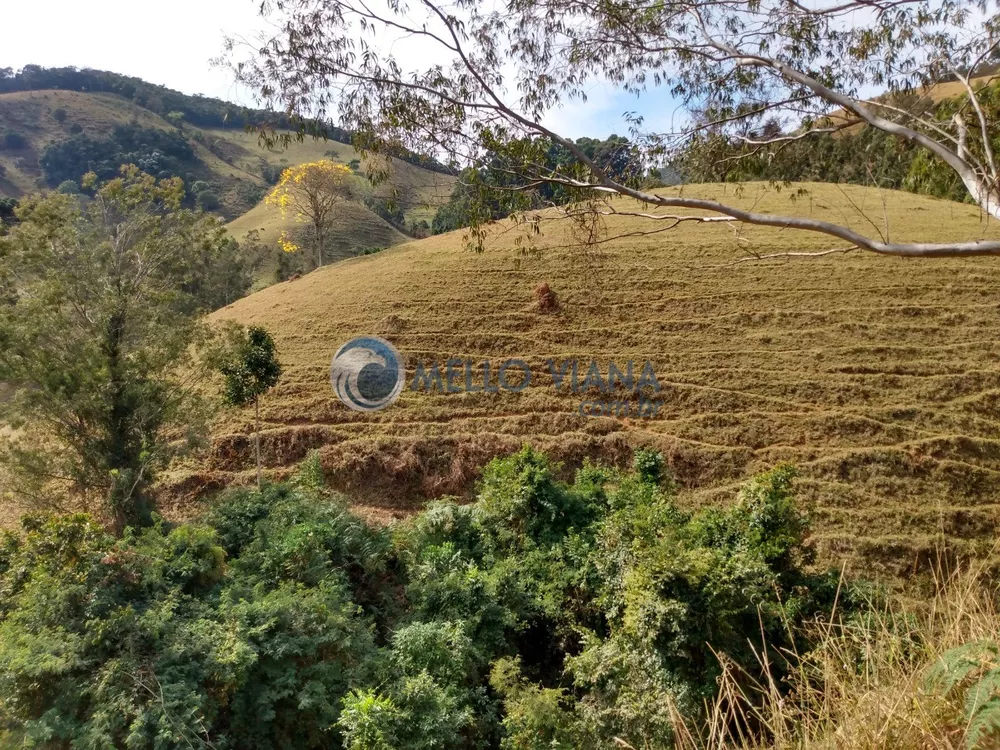 Fazenda à venda, 350000000m² - Foto 2