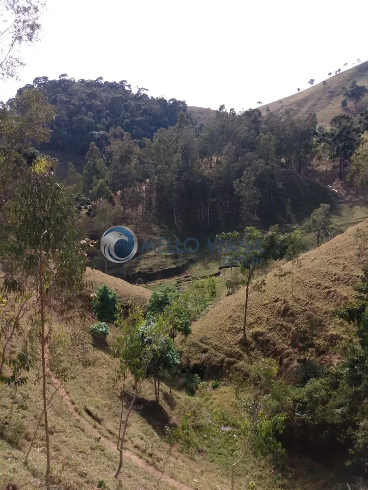 Fazenda à venda, 350000000m² - Foto 4