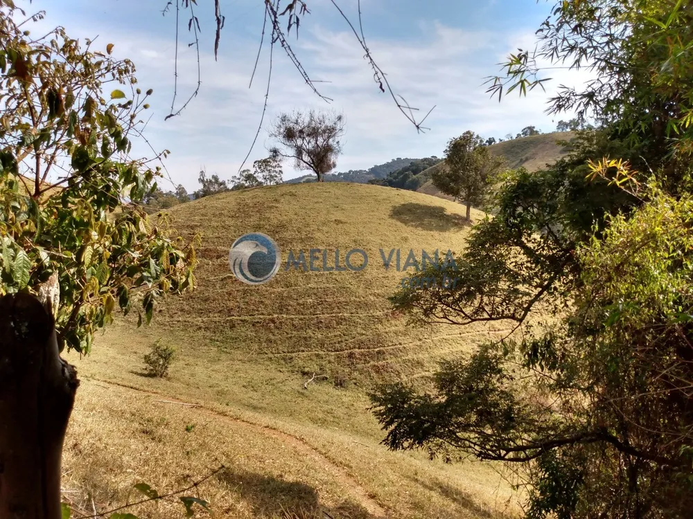 Fazenda, 35 hectares - Foto 8