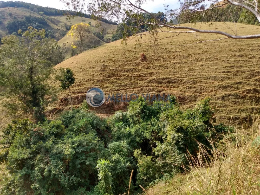 Fazenda, 35 hectares - Foto 6