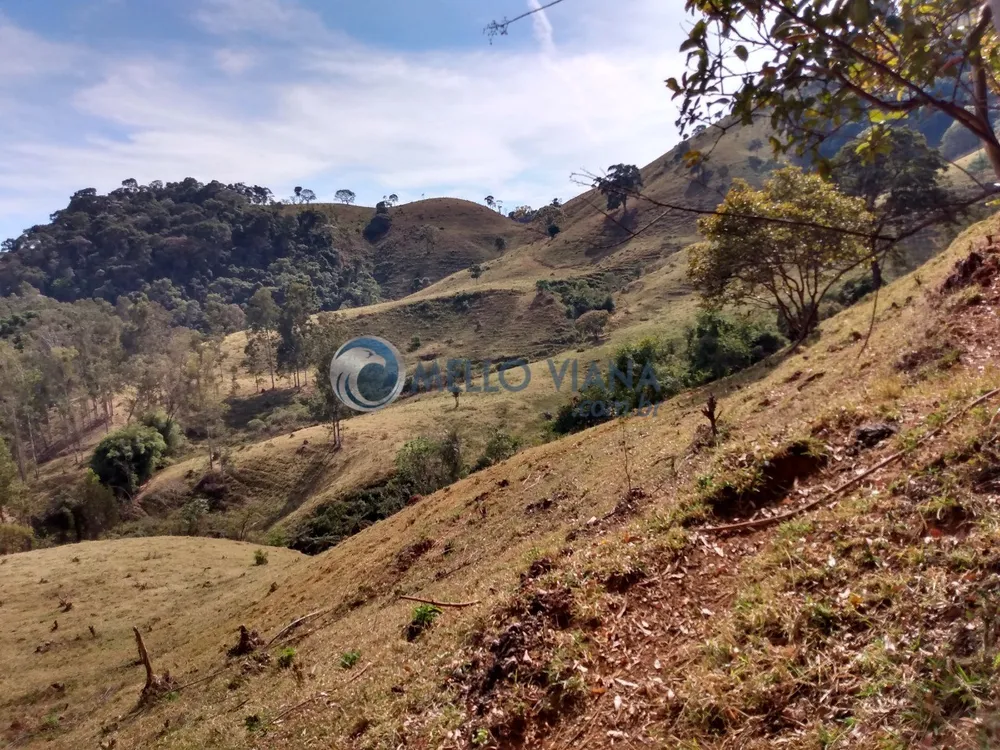 Fazenda, 35 hectares - Foto 9