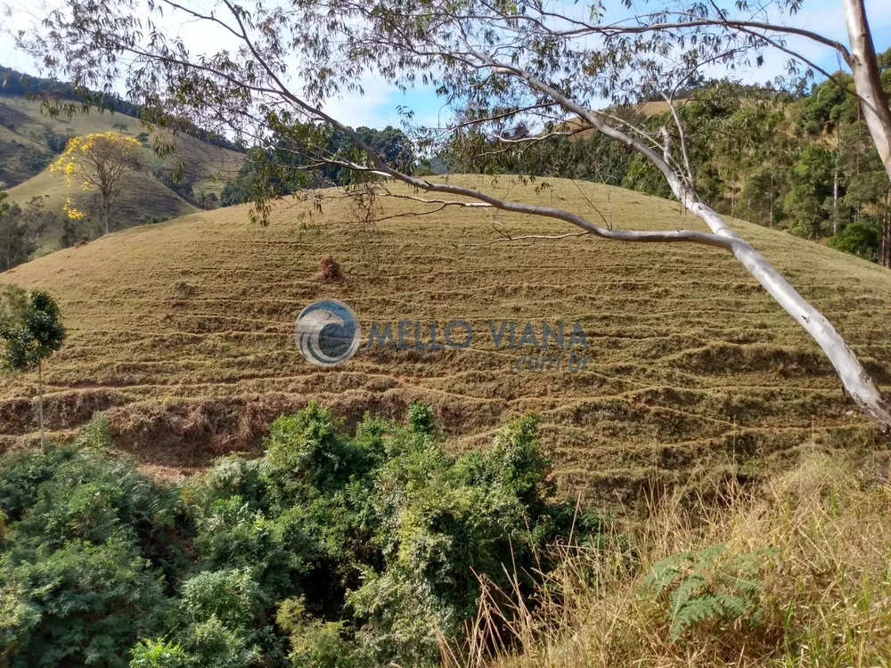 Fazenda à venda, 350000000m² - Foto 3