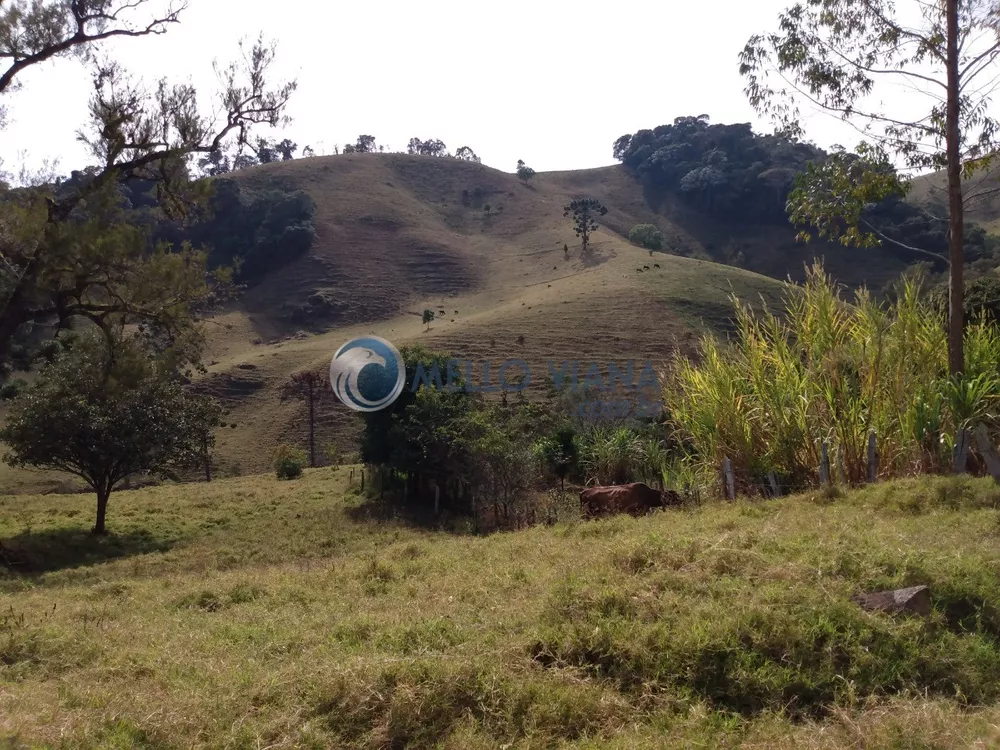 Fazenda à venda, 350000000m² - Foto 1