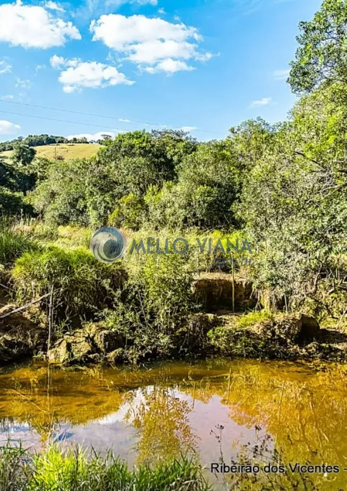 Sítio, 8 hectares - Foto 4