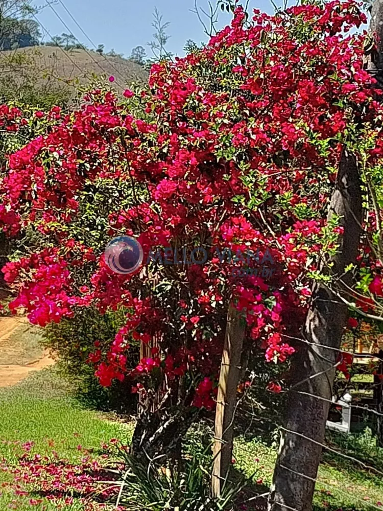 Sítio, 2 quartos, 1600 m² - Foto 2