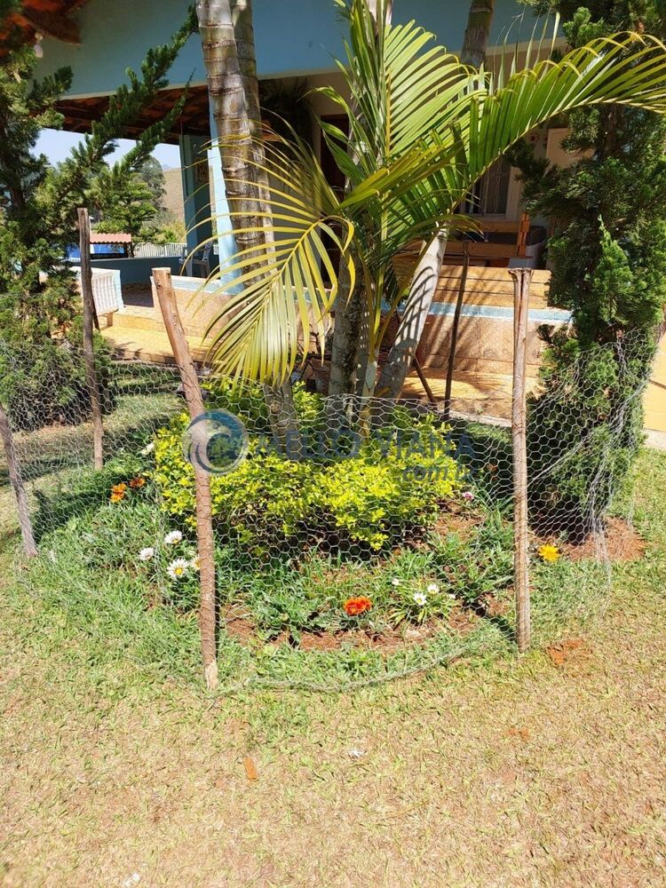 Sítio, 2 quartos, 1600 m² - Foto 5