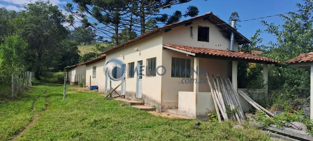 Sítio, 1 hectares - Foto 16