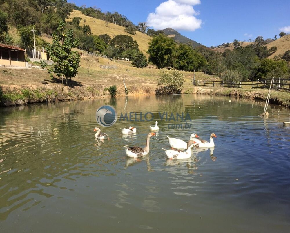 Fazenda, 1 hectares - Foto 2