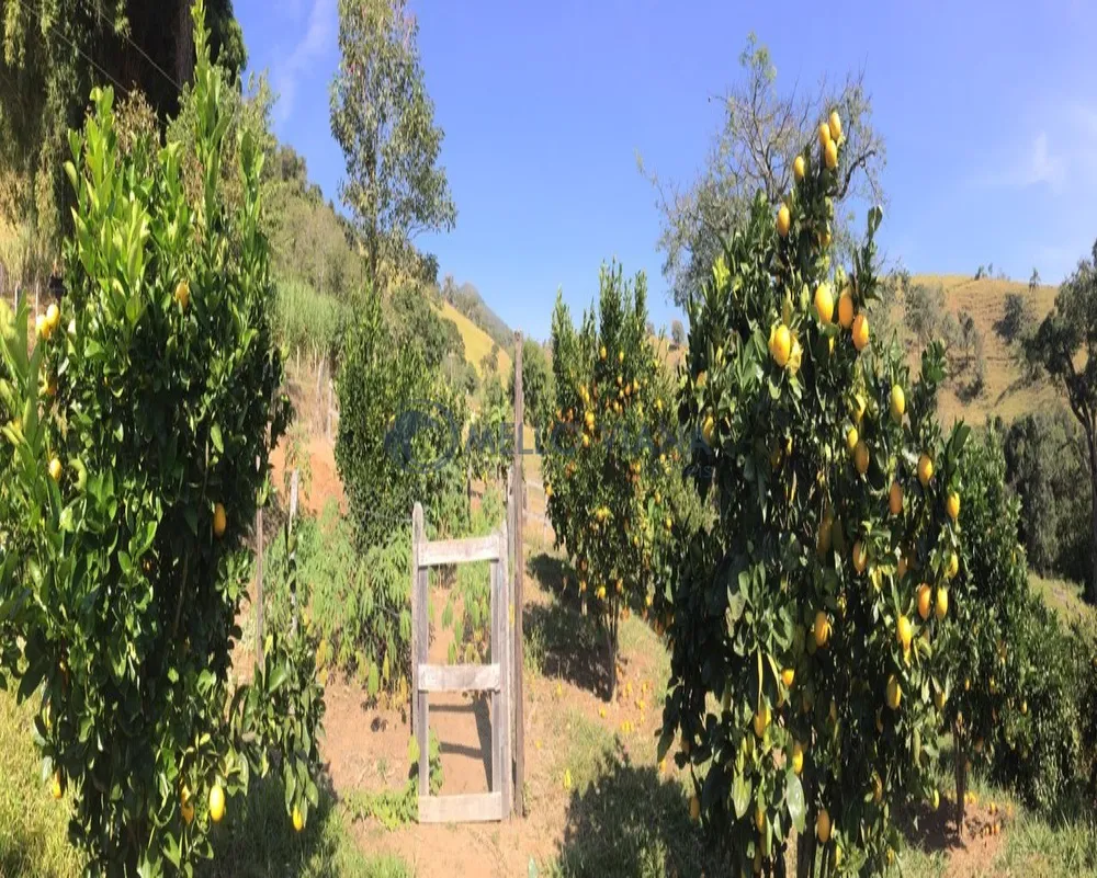 Fazenda, 1 hectares - Foto 6