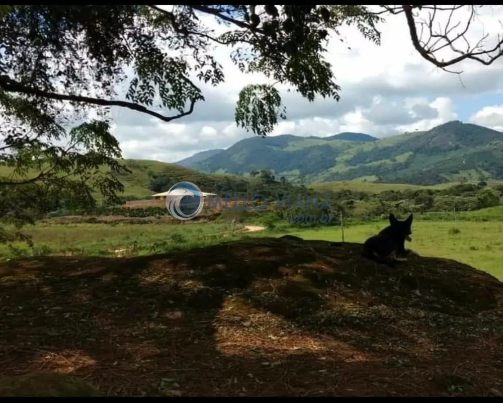 Fazenda à venda com 3 quartos, 3m² - Foto 2