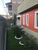 Casa, 5 quartos - Foto 2