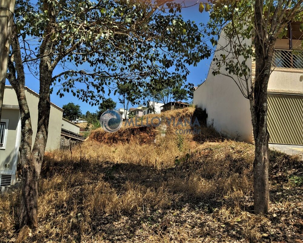 Terreno, 250 m² - Foto 4