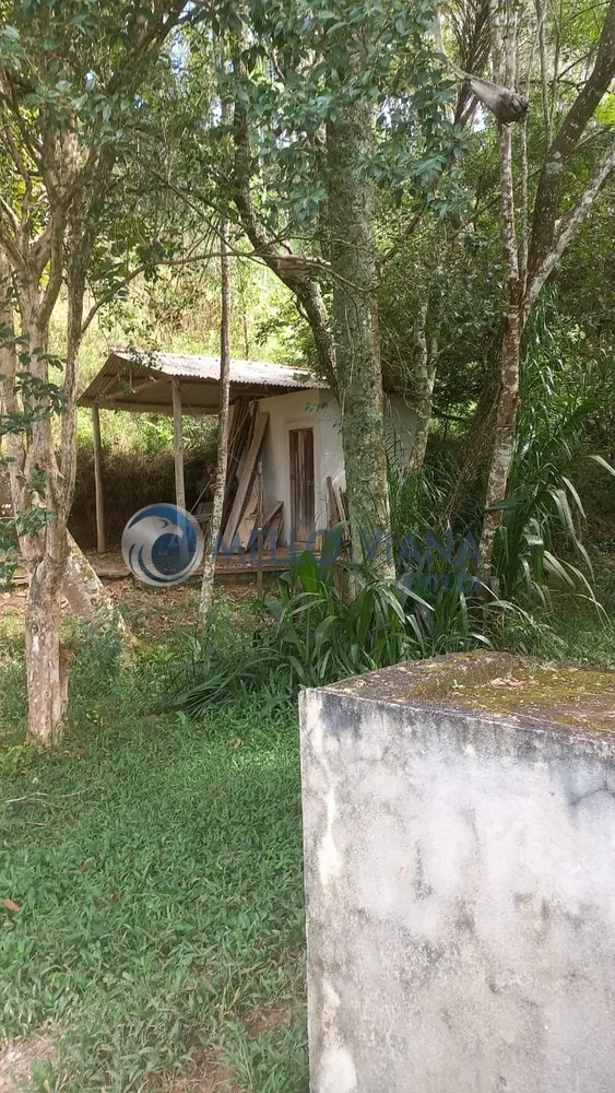 Sítio, 6 m² - Foto 3