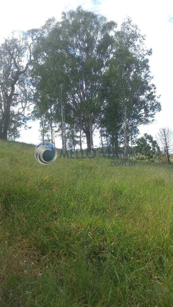 Sítio, 6 m² - Foto 13
