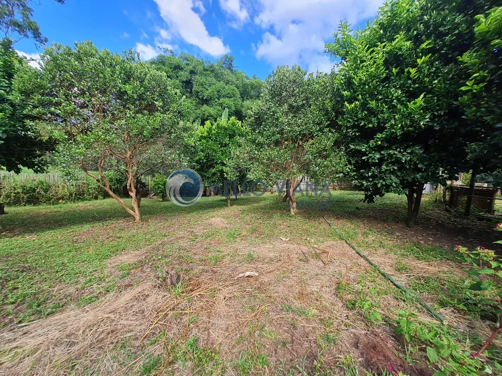 Sítio, 3 quartos, 16 hectares - Foto 12