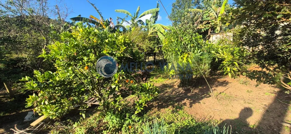 Chácara, 3 quartos, 1600 m² - Foto 15