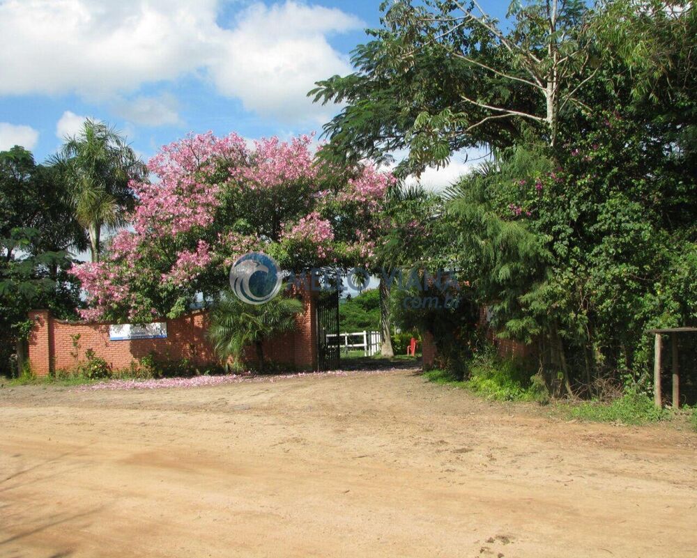 Fazenda, 120 m² - Foto 5