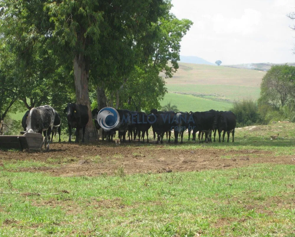 Fazenda, 120 m² - Foto 13