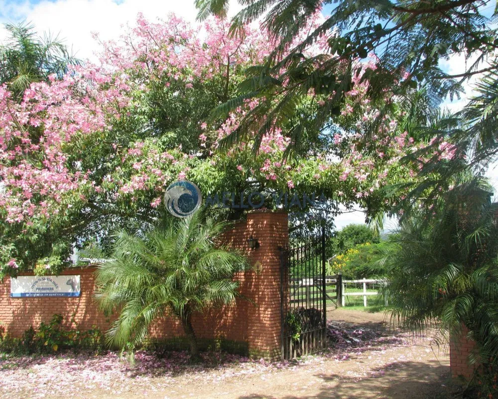 Fazenda, 120 m² - Foto 8