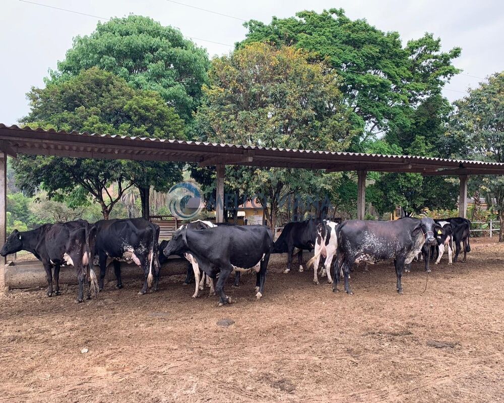 Fazenda, 120 m² - Foto 3