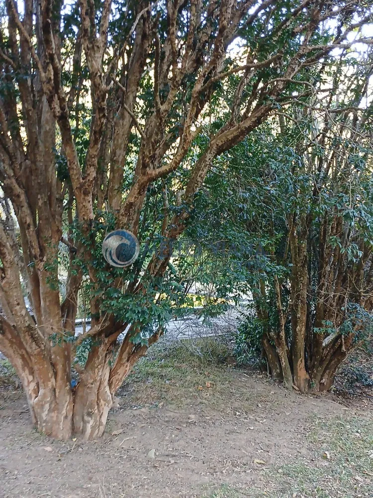 Sítio, 3 quartos, 15 m² - Foto 9