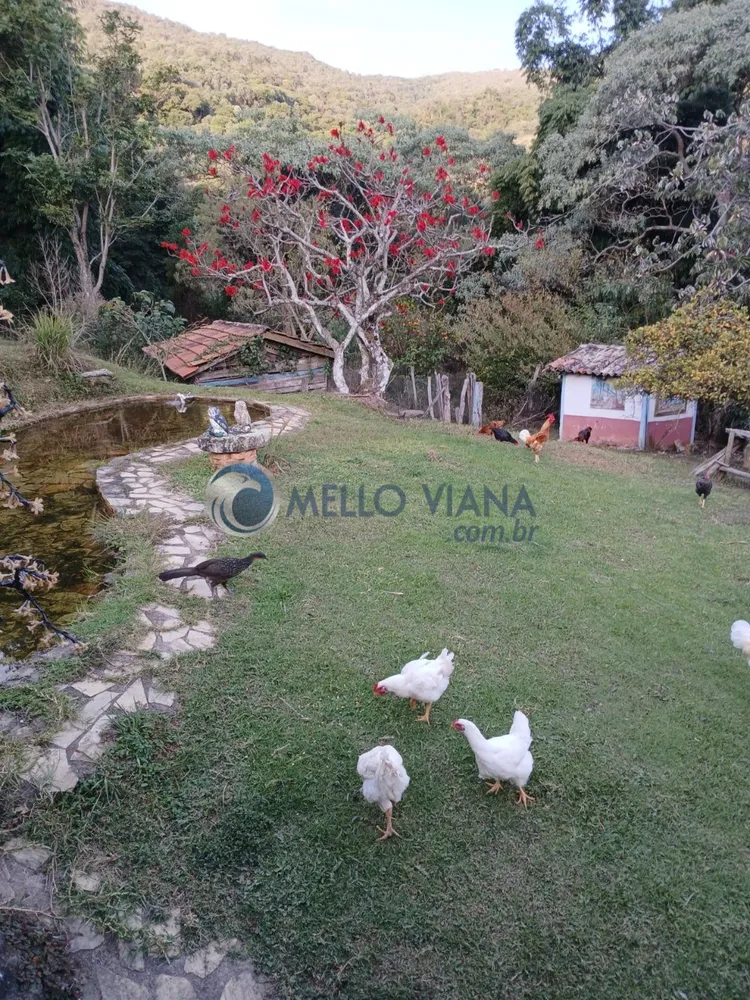 Sítio, 3 quartos, 15 m² - Foto 4