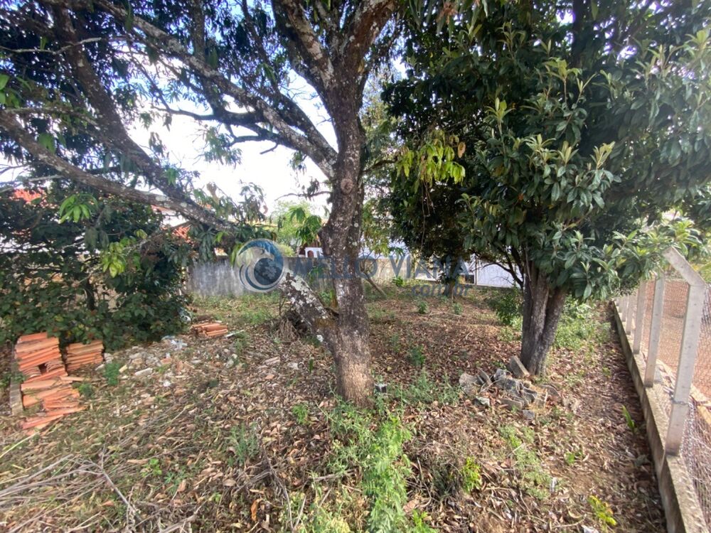 Terreno, 360 m² - Foto 2