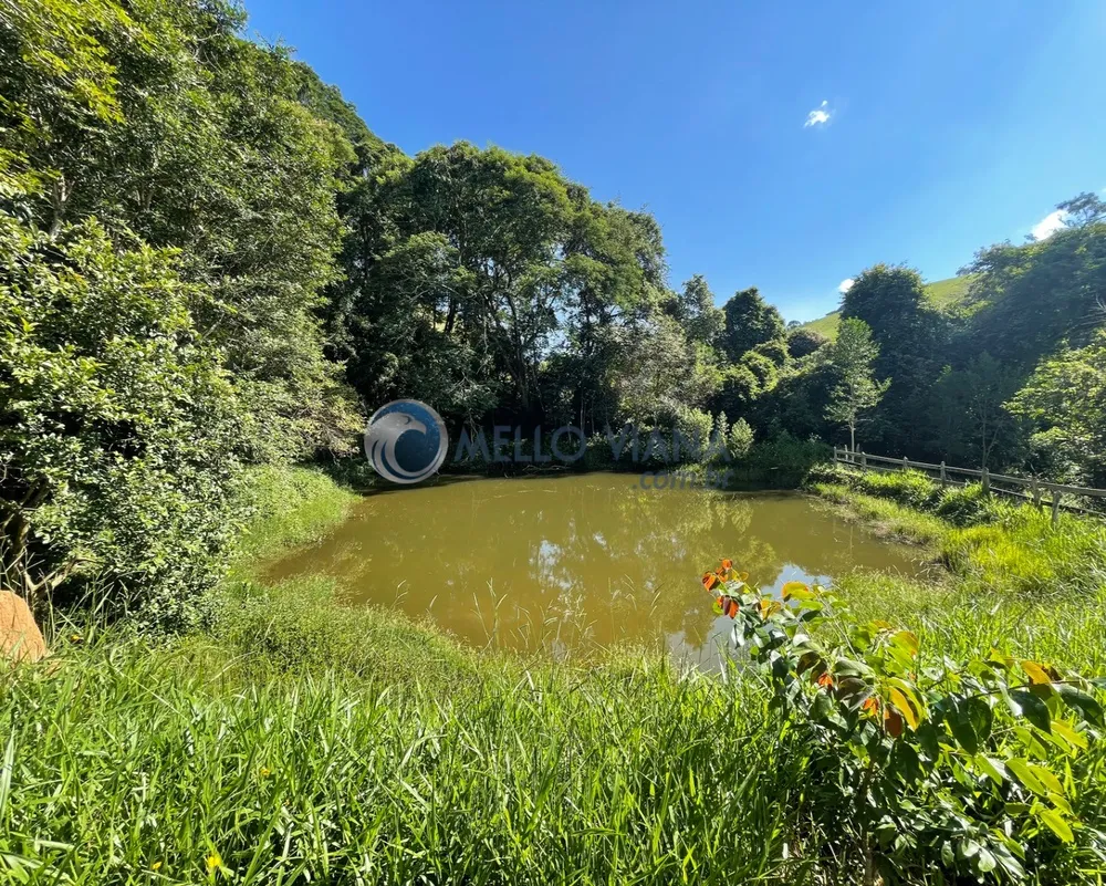Sítio, 3 quartos, 30 hectares - Foto 8