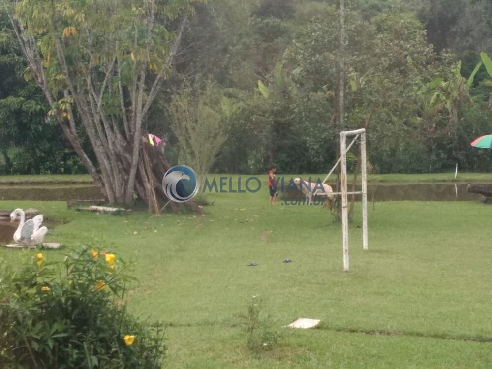 Chácara, 14 quartos, 2 hectares - Foto 1