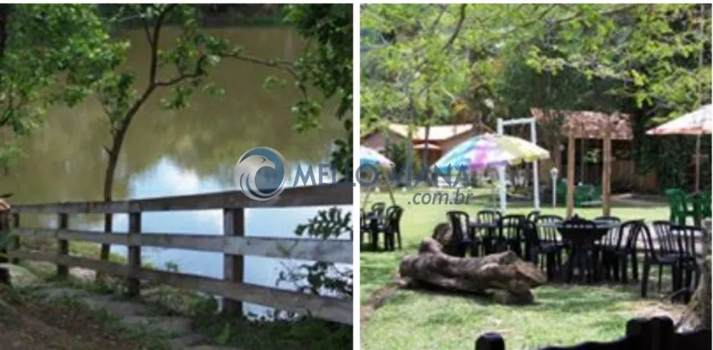 Chácara, 14 quartos, 2 hectares - Foto 4