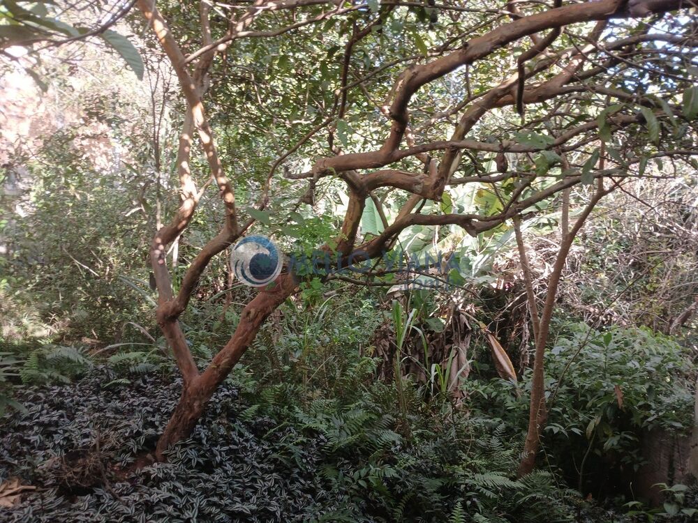 Casa, 2 quartos, 99 m² - Foto 2