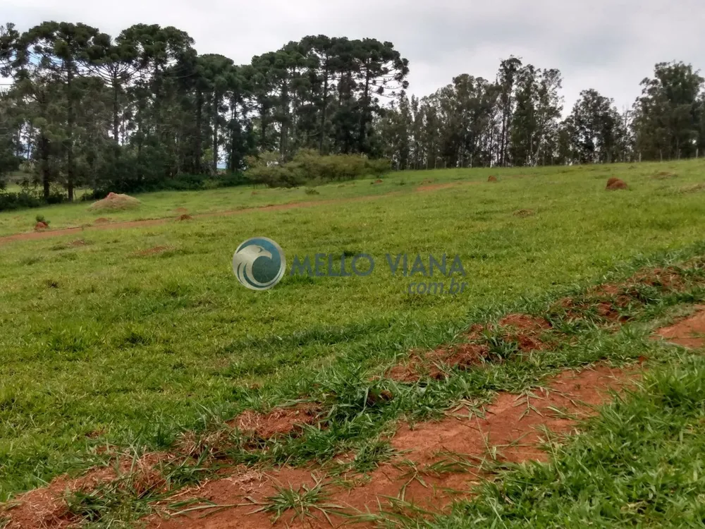 Chácara, 1000 m² - Foto 12