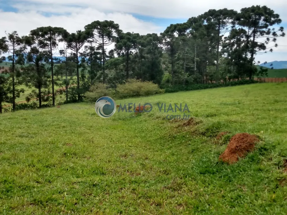Chácara, 1000 m² - Foto 14