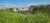 Terreno, 250 m² - Foto 2
